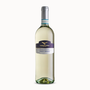 Pinot Grigio DOC