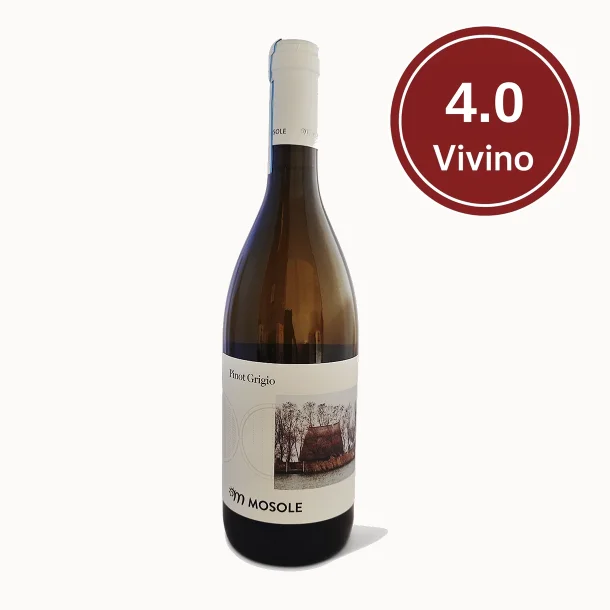 Pinot Grigio Venezia DOC
