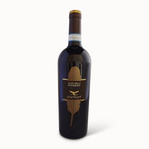 Valpolicella Classico Superiore Ripasso 
