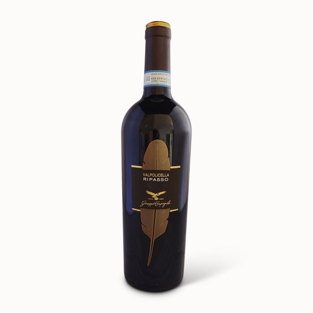Valpolicella Classico Superiore Ripasso "La Piuma" DOC