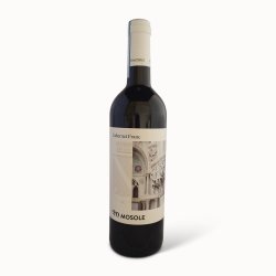 Cabernet Franc Venezia DOC 